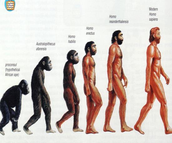 IDENTIFICAÇÃO DA CIÊNCIA O cientista declarações sobre a realidade