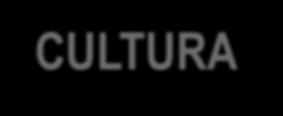 CULTURA EM 4 REALIDADES Cultura da Inércia Cultura do Improviso Cultura da