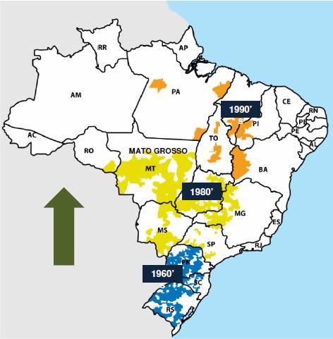 Análise do Mercado Relevante