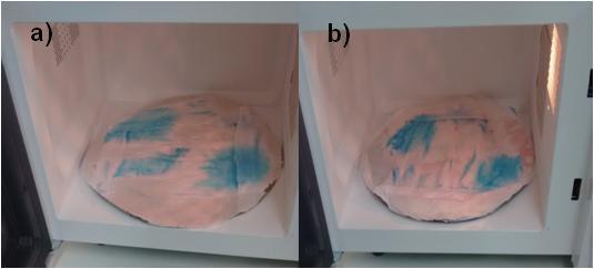 Figura 4. Coloração do papel toalha absorvente embebido com a solução aquosa de CoCl 2 (4% m/v): (a) após irradiação com prato fixo e (b) coloração após irradiação com prato girando.