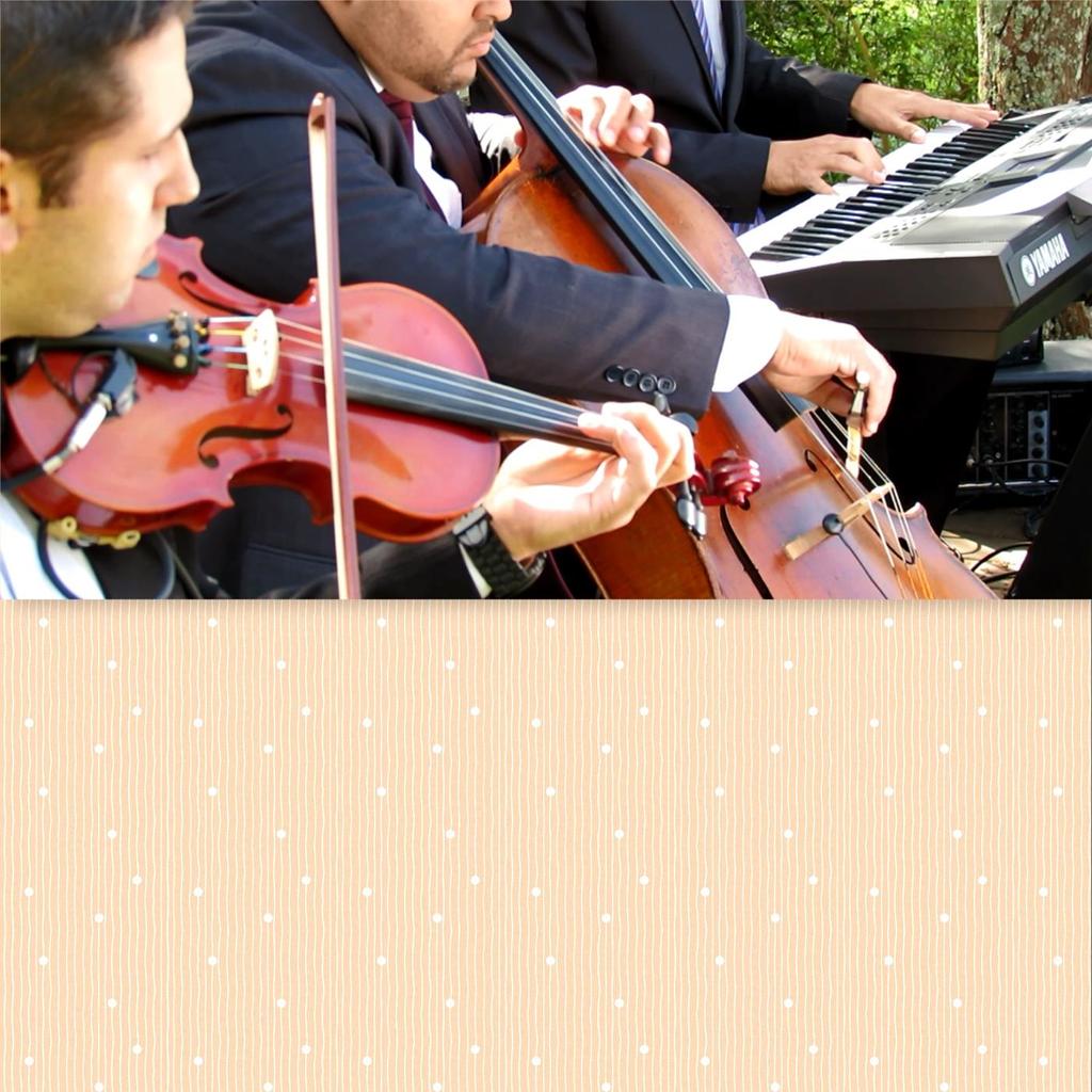 A 'DuCais' Casamentos oferece a formação musical dos seus sonhos, desde uma formação Intimista (02 músicos: Saxofone & Teclado - Violino & Teclado - Violoncelo & Teclado - Voz/Violão & Teclado).