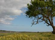 de Silves / Junta de Freguesia de São Bartolomeu de Messines