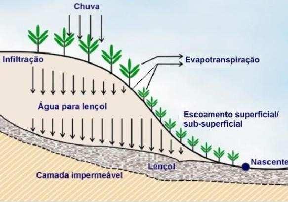 O Ciclo Hidrológico - Fases Escoamento