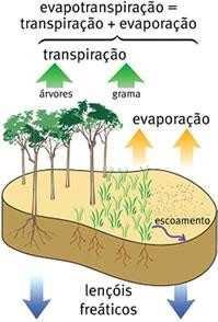 O Ciclo Hidrológico -Fases Evaporação: retorno da água