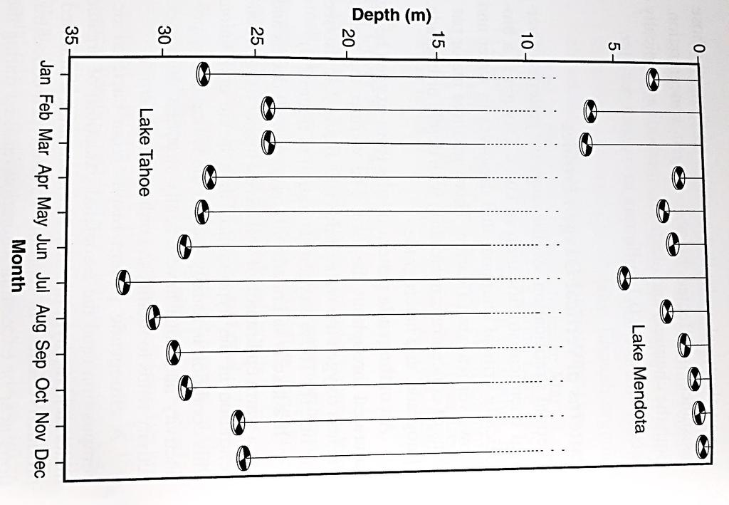 PERFIL DE ESTRATIFICAÇÃO VERTICAL DE LUZ PARTÍCULAS ORGANISMOS PIGMENTAÇÃO