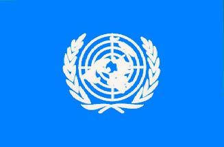 PRINCIPAIS EMPENHAMENTOS ONU Contribuição para o United