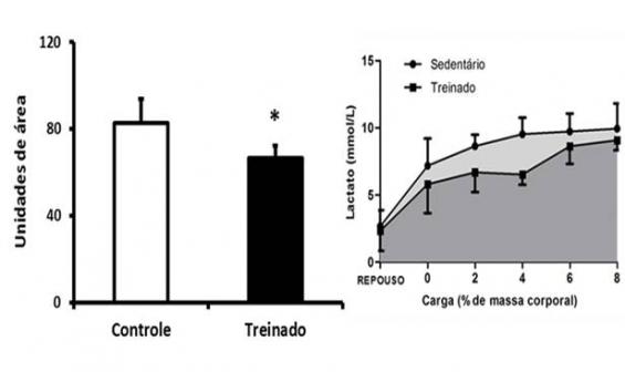 Figura 4 Área sob a curva de lactato sanguíneo durante teste de esforço pós-treinamento ou repouso.