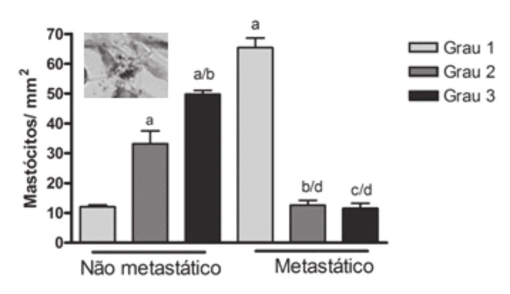 Para avaliação da heterogeneidade dos MCs, quanto à expressão das proteases triptase e quimase foram realizadas análises por meio da técnica de imuno-histoquímica.