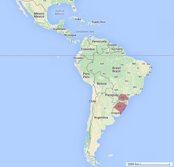 Figura 1 Localização dos Estados do Paraná (PR) e do Rio Grande do Sul (RS) Fonte: Google Maps (2015). Elaborado por: Tatiana Colasante (2015).