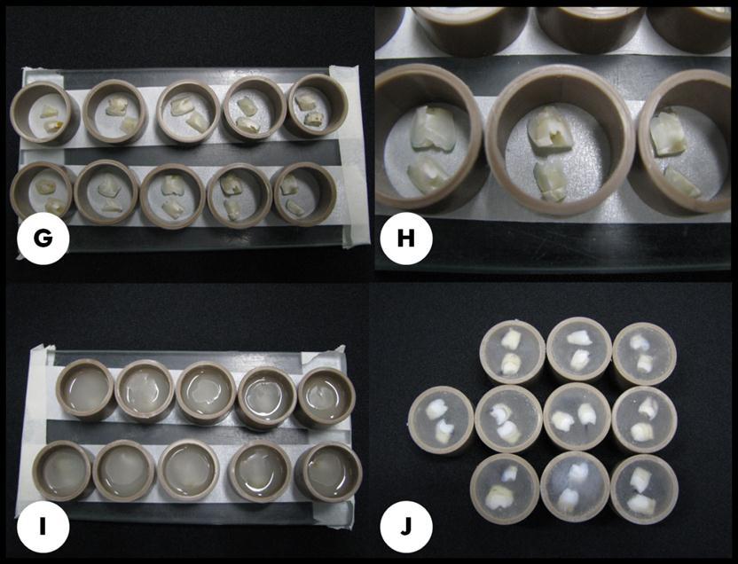33 Os fragmentos foram incluídos em cilindros de PVC (fig.2 A,B) e fixados com resina acrílica quimicamente ativada (Jet, Artigos Odontológicos Clássico, SP, Brasil) (fig.