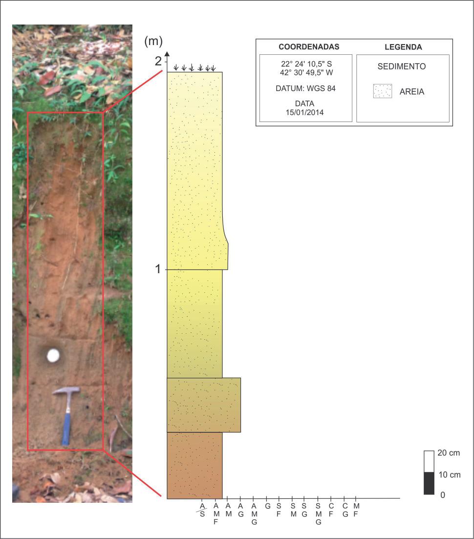 Marçal M. S. et al. O afloramento correspondente ao Terraço Inferior (Tinf) localiza-se cerca de 100 m a montante daquele representado na Figura 4, na margem direita do rio Macaé.