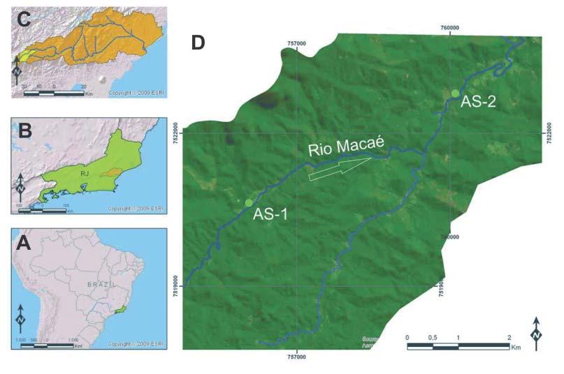 Sedimentação Fluvial Quaternária no Vale do Alto Curso do Rio Macaé, Estado do Rio de Janeiro, Brasil método da Luminescência Opticamente Estimulada (LOE) realizadas em amostras de sedimentos de