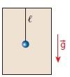 Quando o peso de um pêndulo simples oscilando passa pela posição de equilíbrio, sua aceleração é igual a zero?