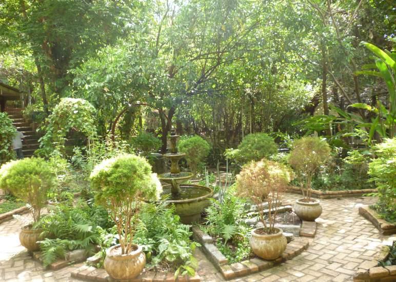 Mandala- Jardim das Folhas