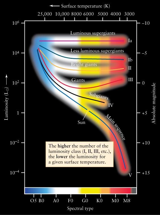 Classe de Luminosidade Em 1930 W.W. Morgan e P.C. Keenan desenvolveram um sistema de classe de luminosidade baseado em pequenas diferenças espectrais observadas nos espectros das estrelas.