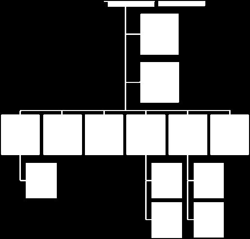 2.2 Estrutura orgânica A estrutura orgânica actual, traduzida no organograma apresentado, decorre do modelo de organização interna dos serviços que obedece ao seguinte modelo estrutural misto: a) O