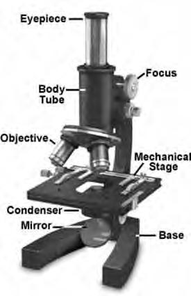 Microscopia Óptica [3] (cont.