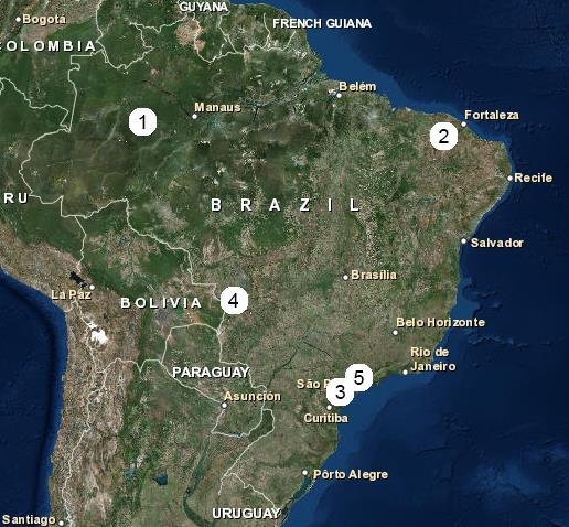 Figura 5. Regiões de origem dos grupos de imagens. 1 Amazonas; 2 Ceará; 3 São Paulo; 4 Mato Grosso e 5 São Paulo.