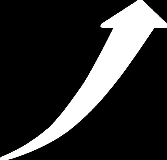 Quem somos Mais de 24 anos de atuação ão, considerada referência em Gestão de Documentos Crescimento médio anual nos últimos 6 anos de 40% a 50% ano Carteira constituída por grandes clientes 2005