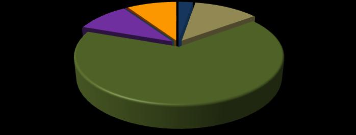 Gráfico 11 Distribuição dos alunos por modalidade ensino em Dionísio Cerqueira - 2007 2,7% 0,0% 0,2% 9,3% 12,1% Creche 10,1% Pré-escola Ensino Fundamental Ensino Médio Educação Profissional (Nível