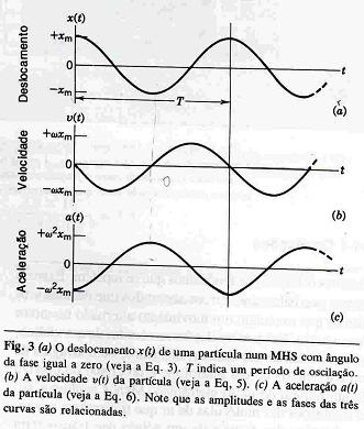 A quantidade é uma constante positiva denominada amplitude do movimento, sendo que o índice m utilizado significa valor máximo. O valor de depende das condições iniciais do movimento.