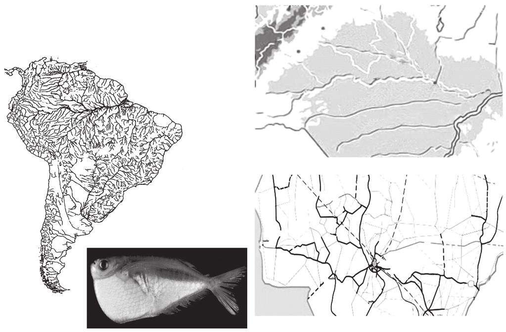 72 Biota Neotrop., vol. 9, no.