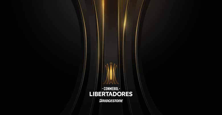 3. Linguagem Gráfica 30 Nas páginas seguintes revela-se a Linguagem Gráfica da Conmebol Libertadores.