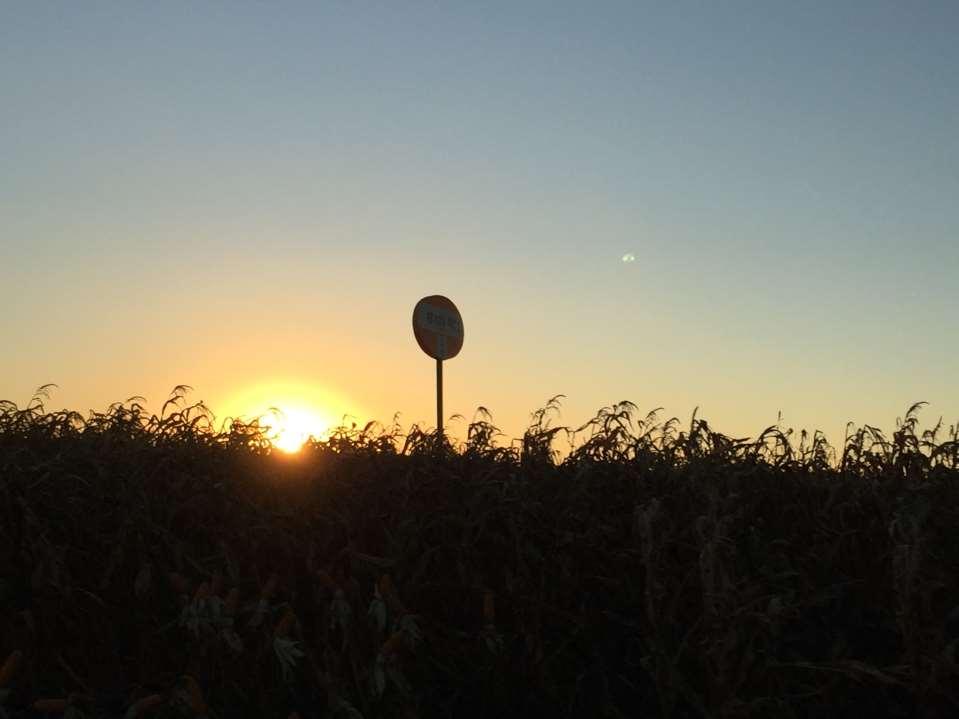 Soja / Fertilidade do Solo e NMP Correção da Acidez do Solo