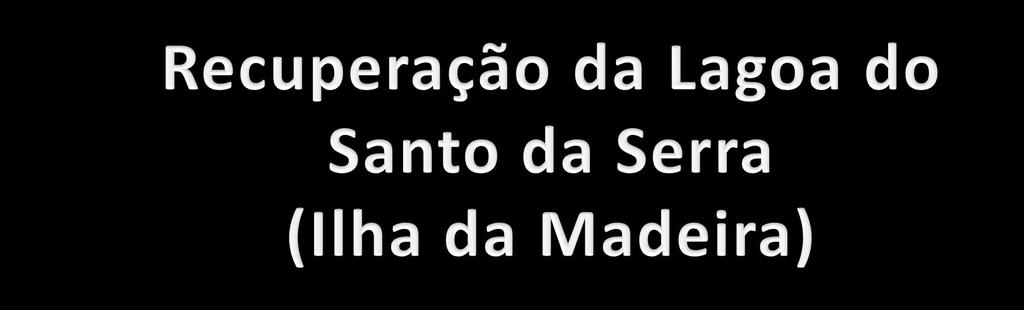 Margarida Caetano; Tetraplano, Engenharia, Lda., Lisboa, Portugal, mcaetano@tetraplano.