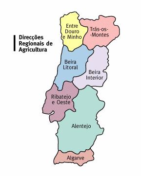 Caracterização e Diagnóstico CAE 01 e 02 Escala espacial: A unidade geográfica padrão para a obtenção de estatísticas regionais comunitárias, rege-se na Nomenclatura das Unidades