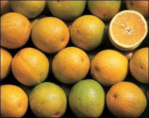 O fruto é consumido na forma in natura, porém 50 a 55% é utilizado para a produção de suco.