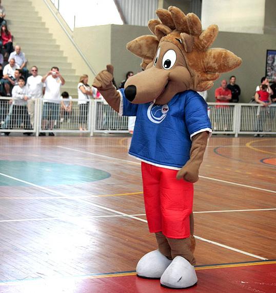 15 - O Mascote Jubinha O leãozinho Jubinha, o mascote oficial da competição, continua sendo uma das maiores sensações da Copa Center Norte.