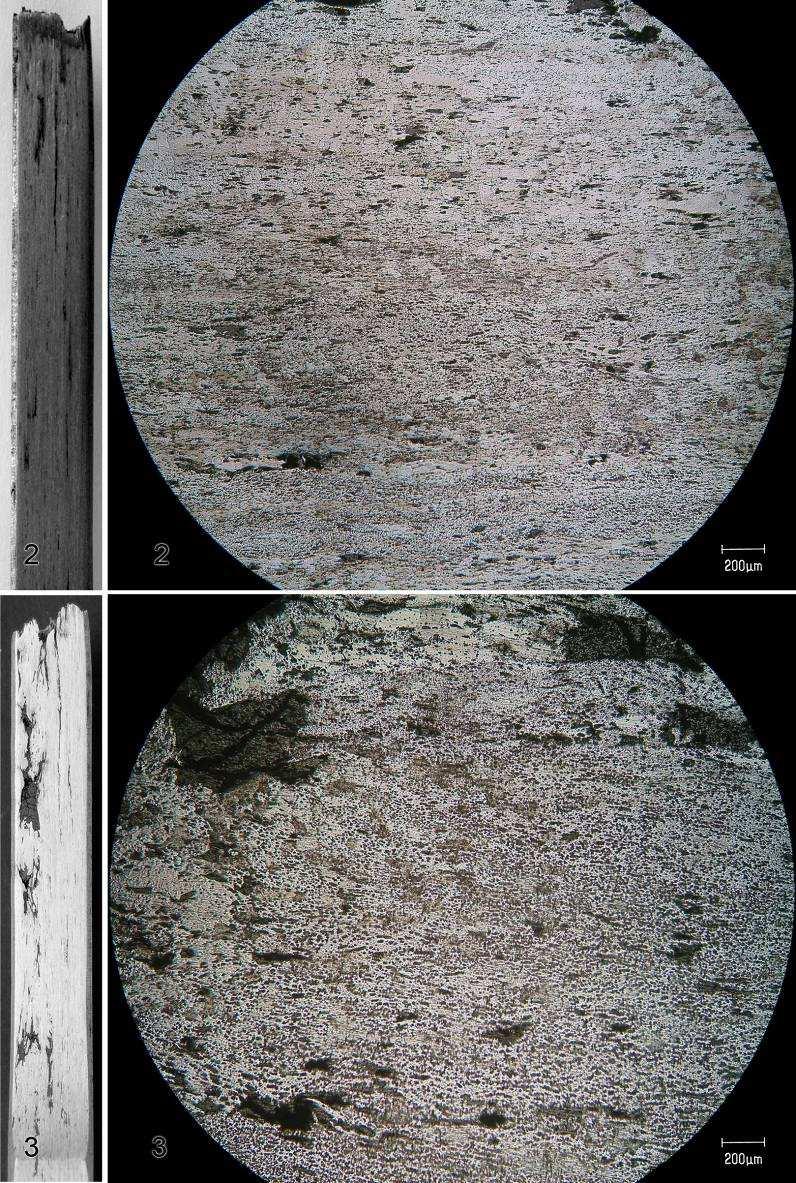 11 Figura 9: Aspectos macrográficos e micrográficos (por MO), respectivamente, na superfície longitudinal e numa secção transversal nos provetes de ferro pudelado (Provetes 2 e 3), após polimento e