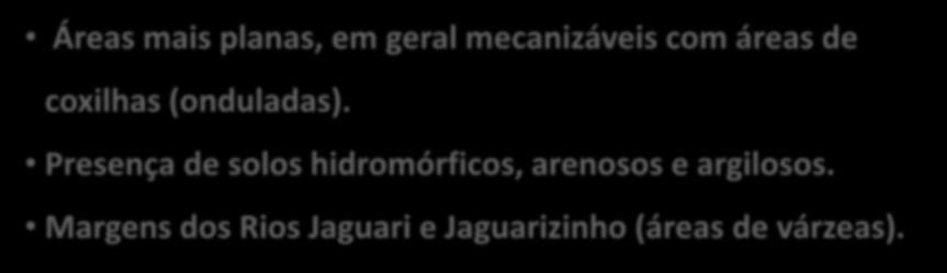 ZONA 1 Áreas mais planas, em geral mecanizáveis com áreas de coxilhas (onduladas).