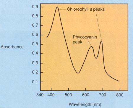 Espectros de