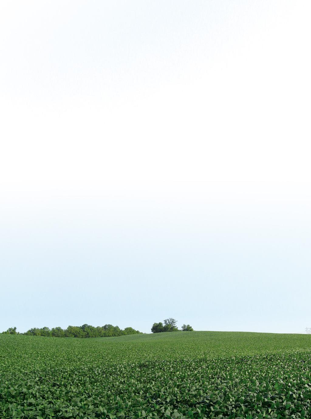 SOJICULTURA ESTUDO COMPROVA EXPANSÃO DE ÁREA E DE PRODUTIVIDADE DA SOJA NAS ÚLTIMAS DÉCADAS Autor: Alvadi Antonio Balbinot Junior Pesquisador - Embrapa Soja Contato: alvadi.balbinot@embrapa.