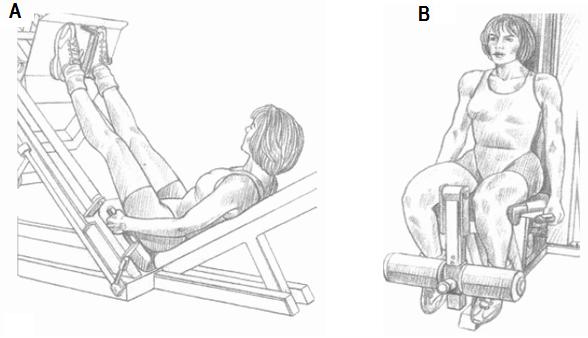 30 3.2 Exercícios Os exercícios propostos para avaliação da pré-exaustão foram o leg press 45º e a extensão de joelhos.