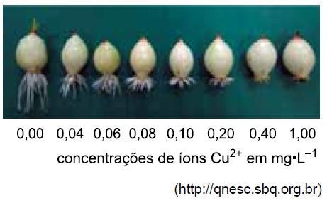 0. Um experimento foi realizado para avaliar a toxicidade de íons Cu 2+ sobre o crescimento de raízes de cebola.
