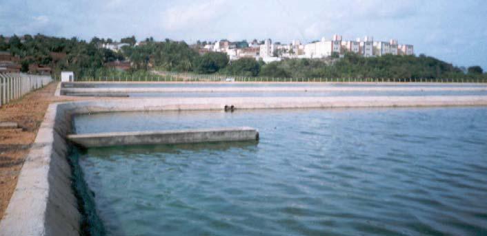 A ETE conta apenas com uma lagoa facultativa primária (LFP-3, Figura 3). O efluente final é lançado no estuário do Rio Potengi. Figura 3. Vista da lagoa facultativa primária da ETE Quintas II (LFP-3).