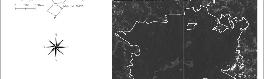 Foram dispostas 15 redes de 7 m de comprimento e 3 m de altura durante três noites consecutivas por mês em cada fragmento, abrangendo duas estações completas: primavera de 2005 e verão de 2006.