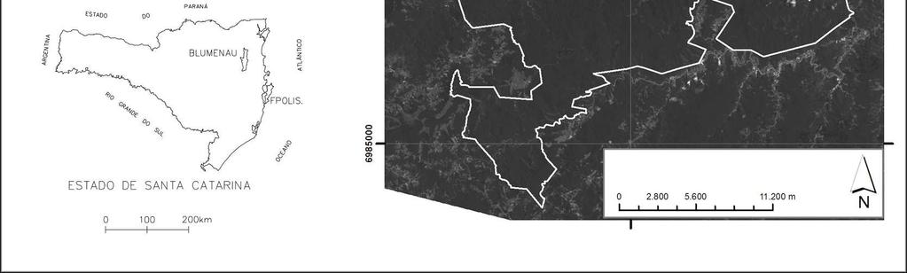 Essas eram abertas ao anoitecer, revisadas em intervalos de 20 min e fechadas após cinco horas de amostragem. As capturas foram realizadas sempre no período de lua minguante e nova.