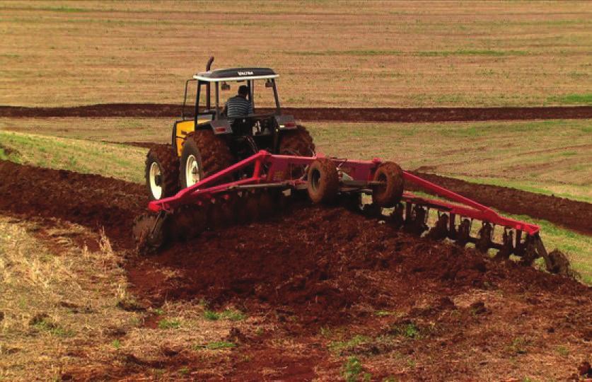 Manutenção do Sistema de Terraceamento Área com terraços e cobertura do solo, mantendo assim o controle da erosão O IQP como instrumento de avaliação do Sistema Plantio