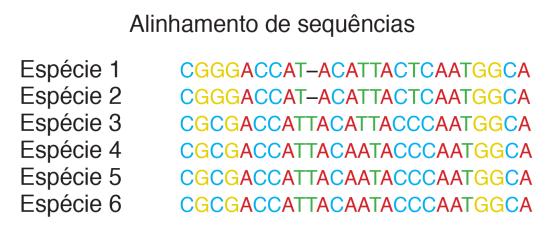 Figura 16: Alinhamento de sequências de seis espécies diferentes. As linhas representam as espécies, as colunas os caráteres e cada uma dos nucleotídeos possíveis são os estados dos caráteres.