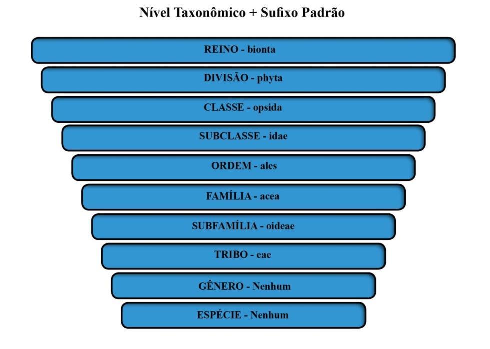 Figura 1. Níveis hierárquicos das categorias taxonômicas.