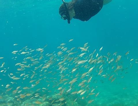 Entre os diversos ecossistemas marinhos e costeiros podemos destacar os recifes de corais, as fontes hidrotermais, os manguezais e marismas, as praias arenosas, os costões rochosos, ambientes de mar