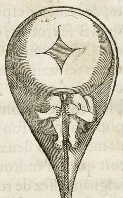 A descoberta do óvulo e do espermatozoide A descoberta dos gametas (do grego gamos casamento, união, fusão) foi fundamental para o entendimento da hereditariedade.