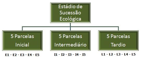 CABRAL, G. A. L. Fitossociologia em Diferentes Estádios Sucessionais de Caatinga... 28 Figura 3.