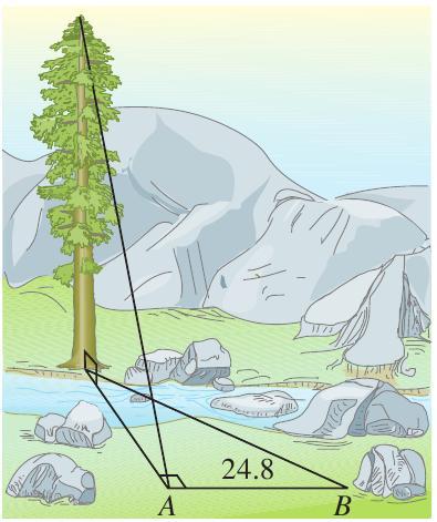 ALTURA Exercício 09: Um ecologista deseja encontrar a altura de uma árvore que está no outro lado de um rio, conforme mostrado na figura.