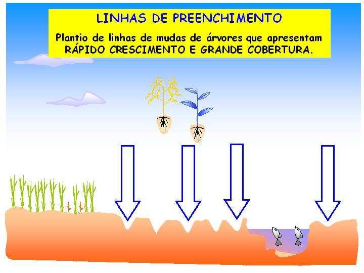 Espécies que apresentam obrigatoriamente as duas