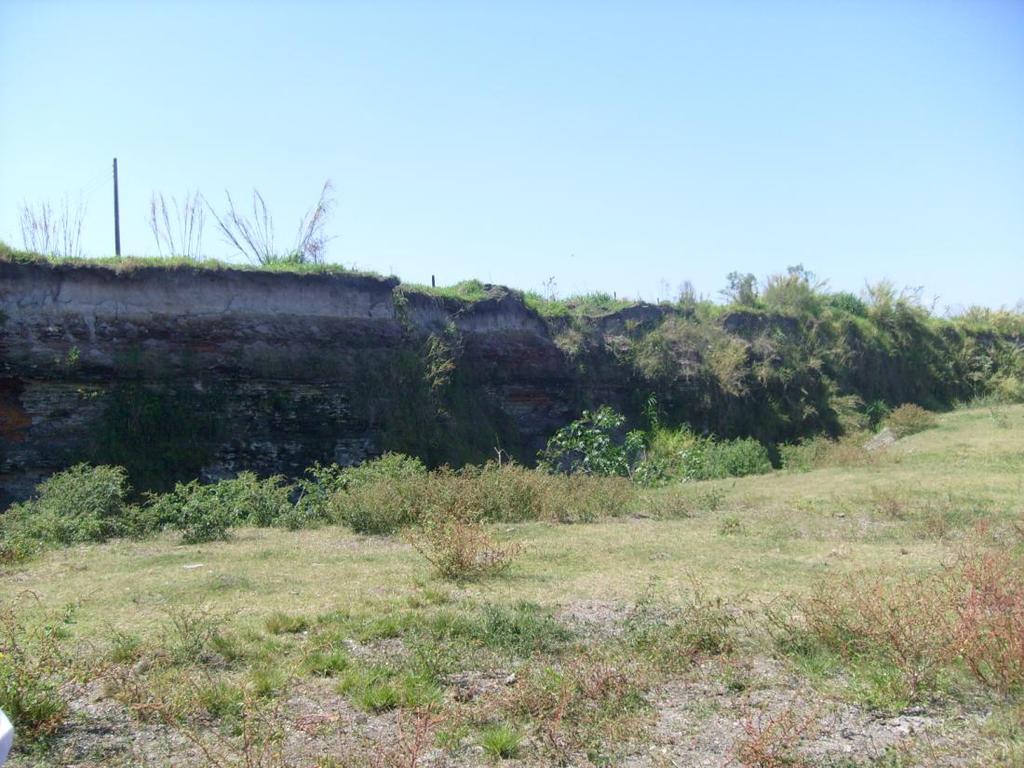 76 2. METODOLOGIA Os materiais estudados foram fósseis da Formação Tremembé, na Fazenda Santa Fé, 22º 57 S e 45º 32 W (Oliveira et al., 2002) (figura 1), localizada na Bacia de Taubaté (figura 2).
